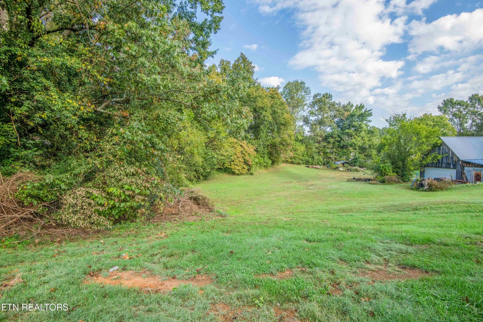 yard 2_1 - 7309 Hammer Rd, Knoxville, TN 37924