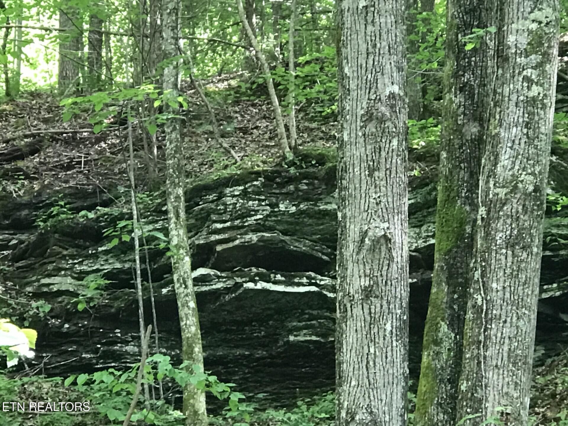 Happy Top Rd, Crossville, TN 38555
