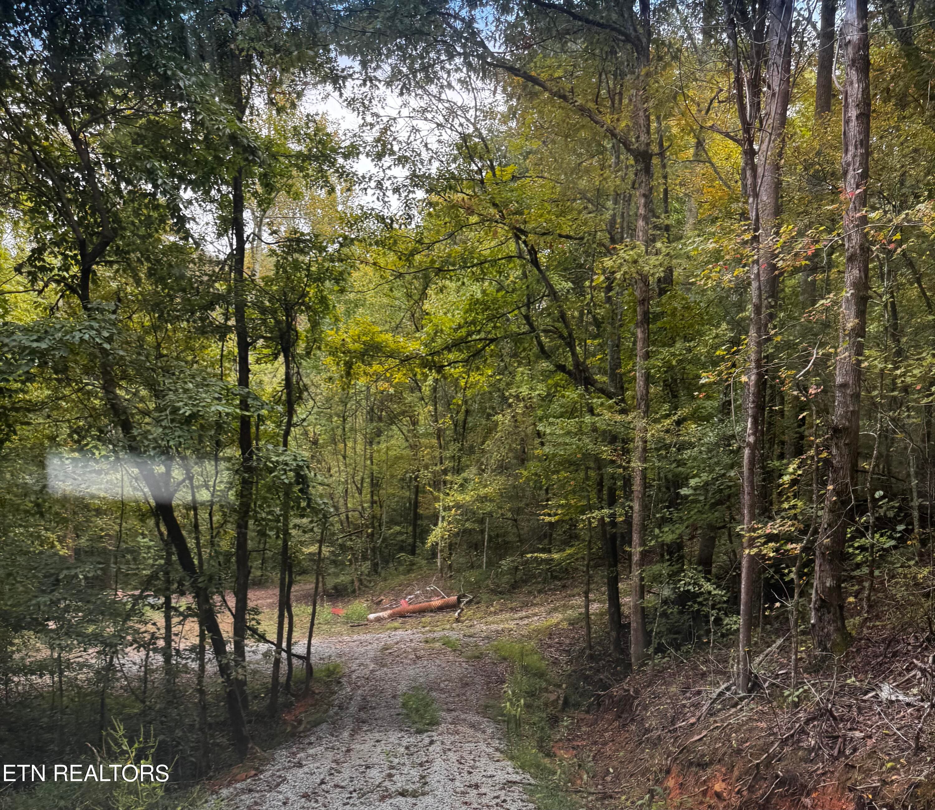 Intersection to both cabins - Decatur Hwy, Kingston, TN 37763
