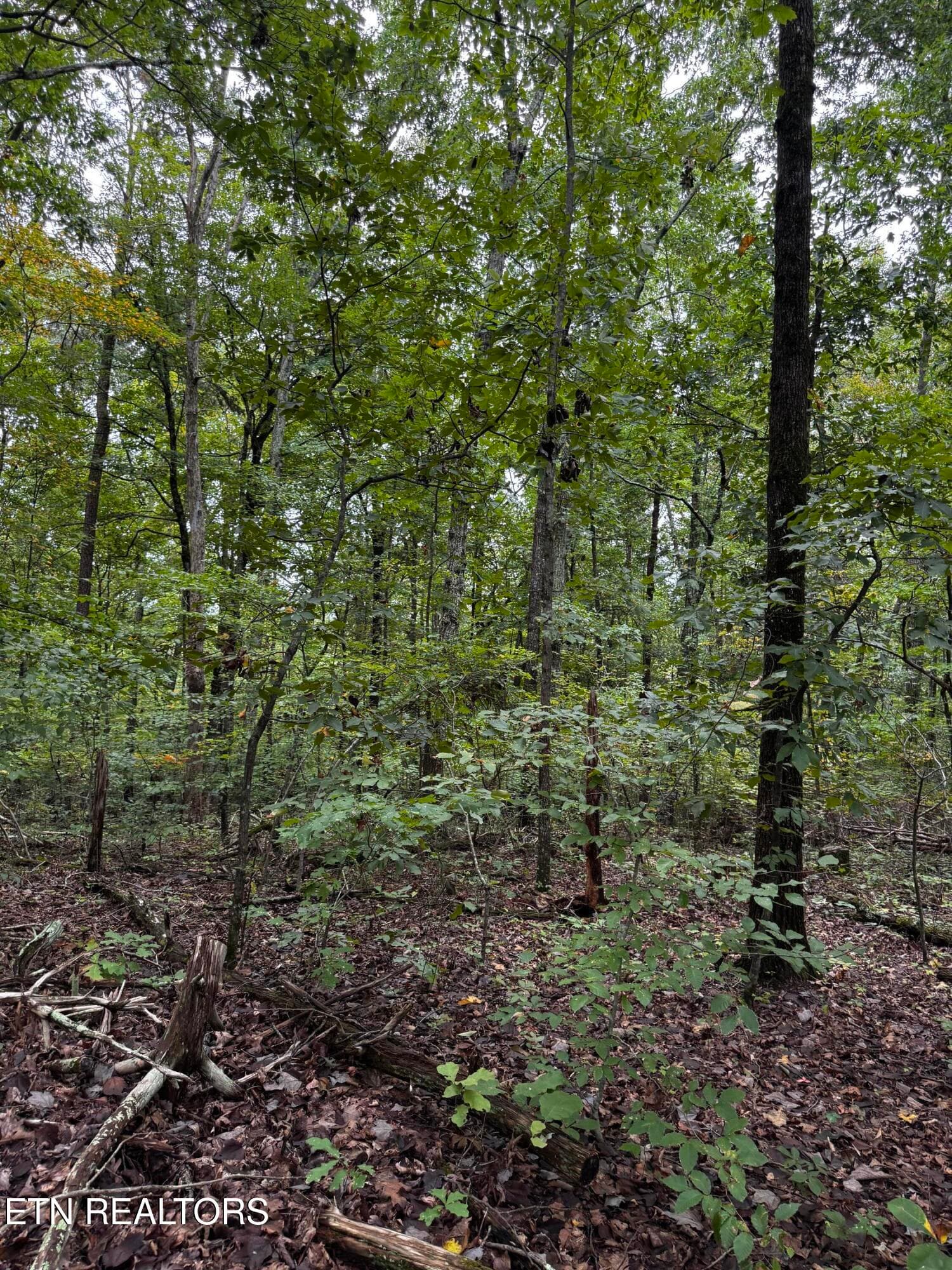 Peaceful and private - Decatur Hwy, Kingston, TN 37763