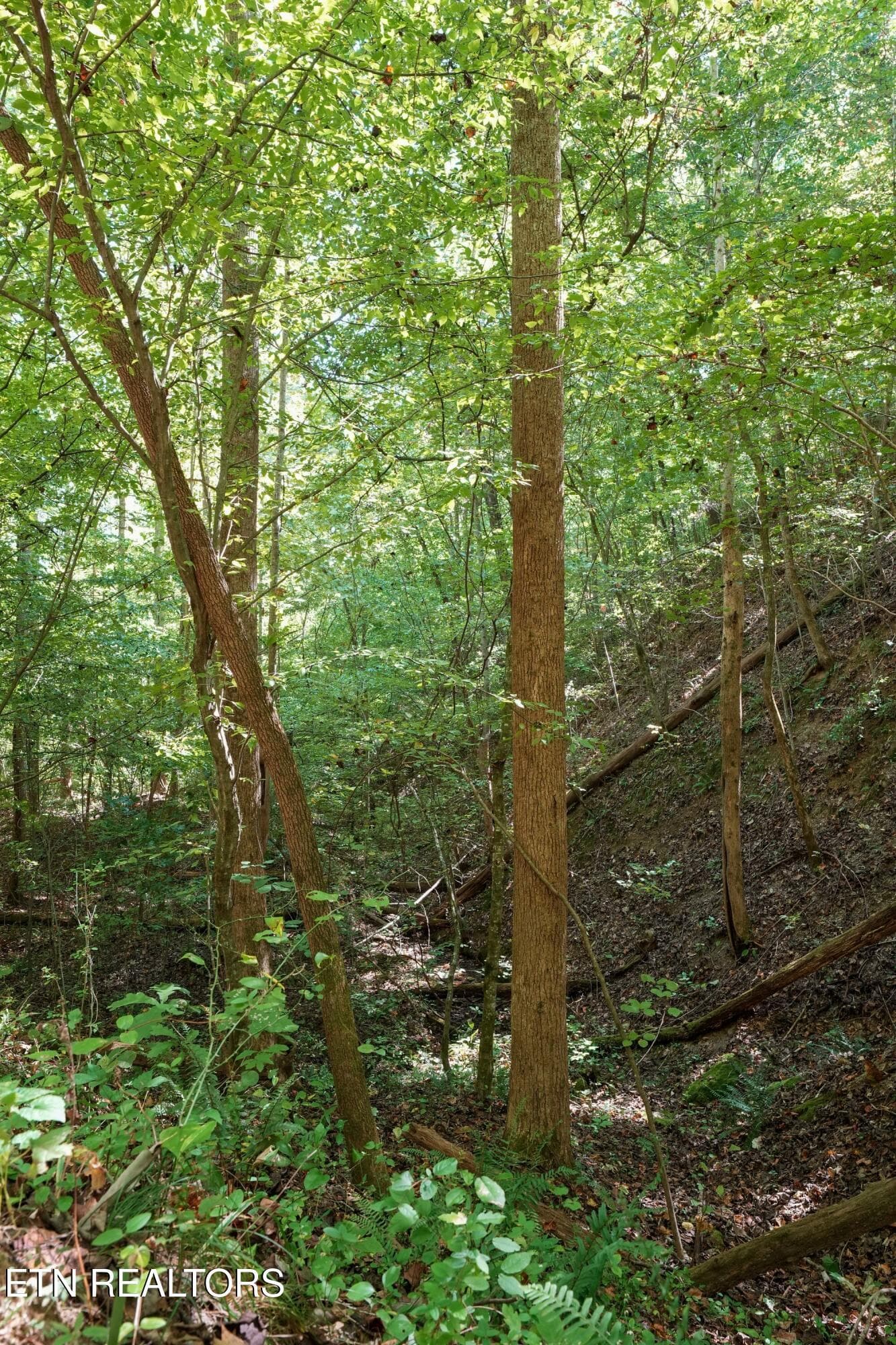 Various terrain - Decatur Hwy, Kingston, TN 37763