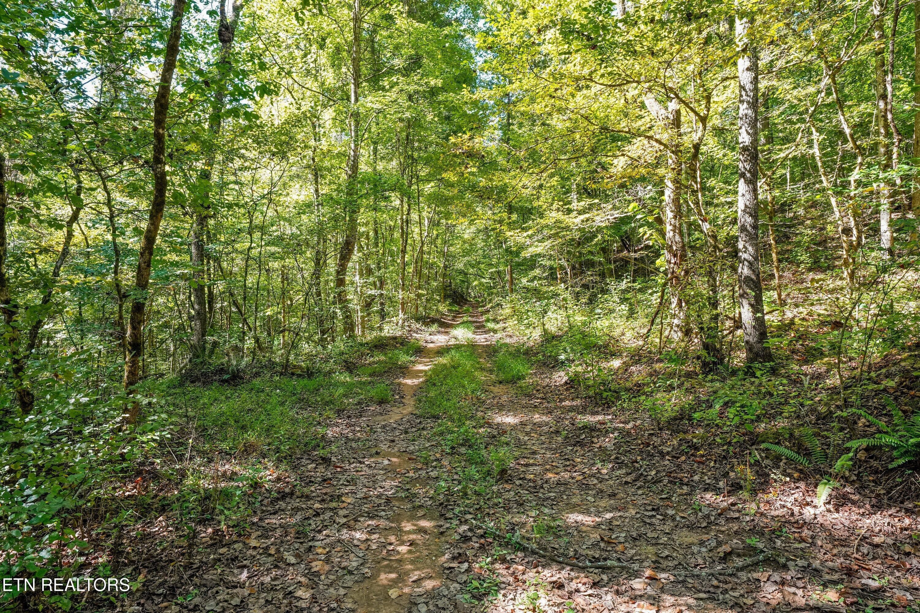 4WD access throughout - Decatur Hwy, Kingston, TN 37763