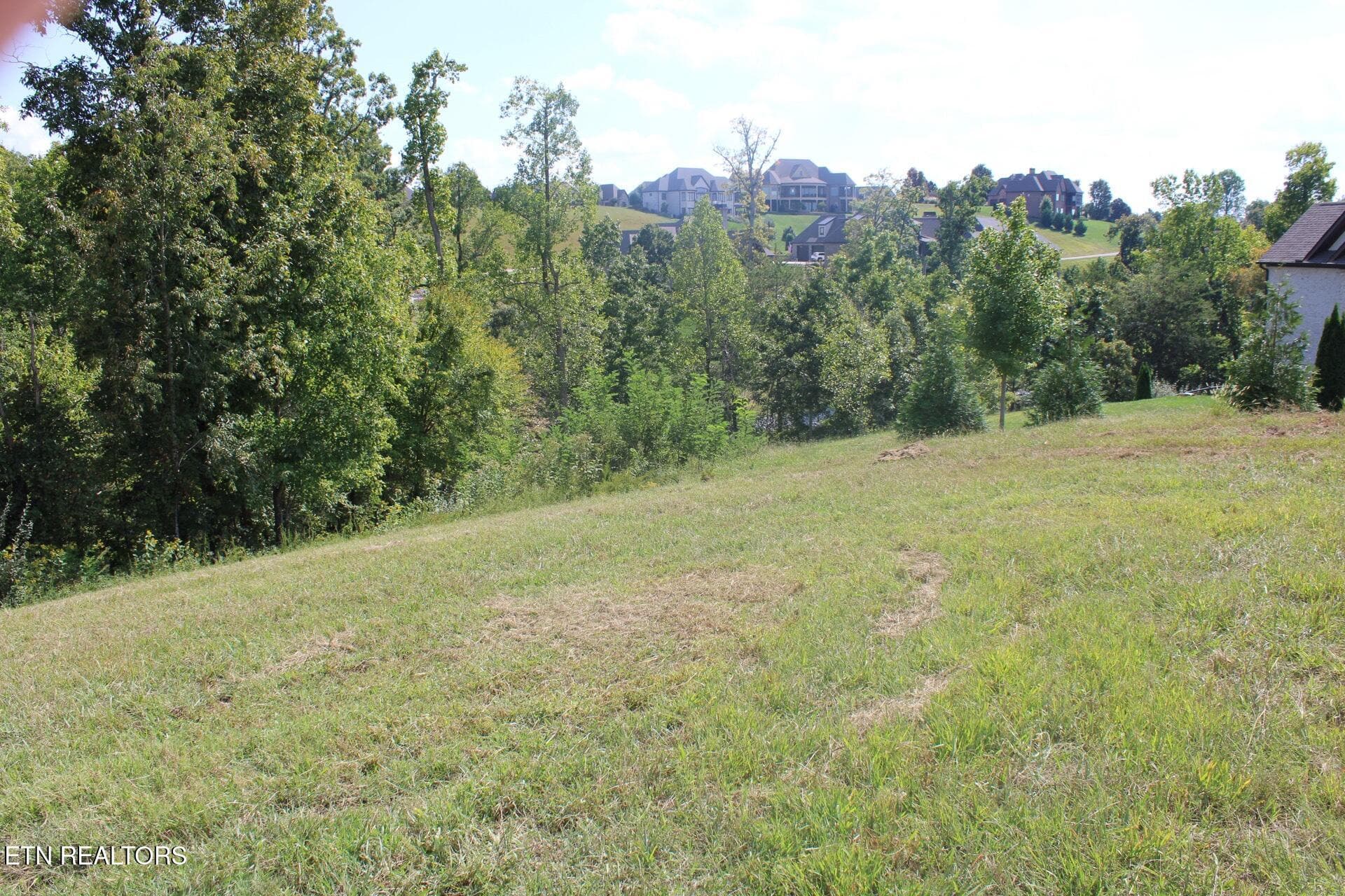 Image (29) - 1299 Halyard Rd, Lenoir City, TN 37772