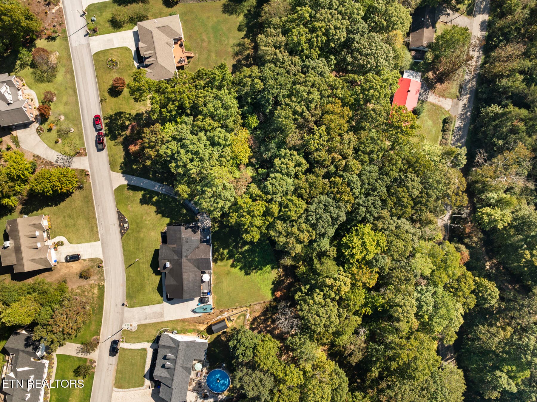DJI_20261014114059_0935_D - 186 Cabot Lane, Rockwood, TN 37854