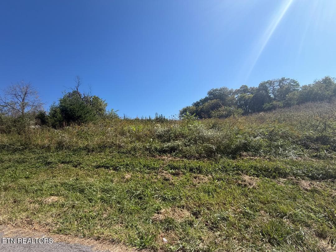 Seabrook St, Newport, TN 37821