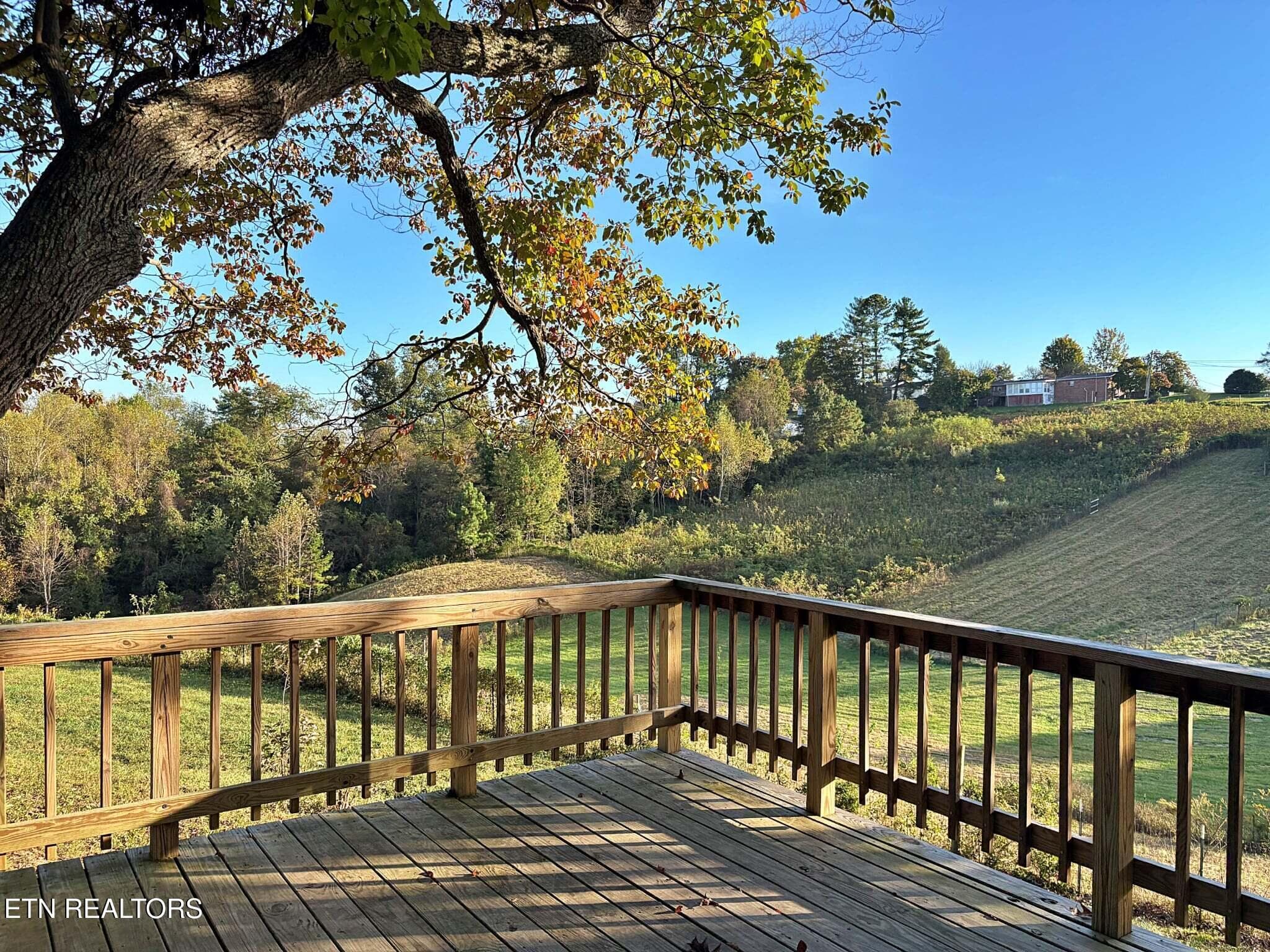Mullet 33 - 726 Essary Rd, Tazewell, TN 37879