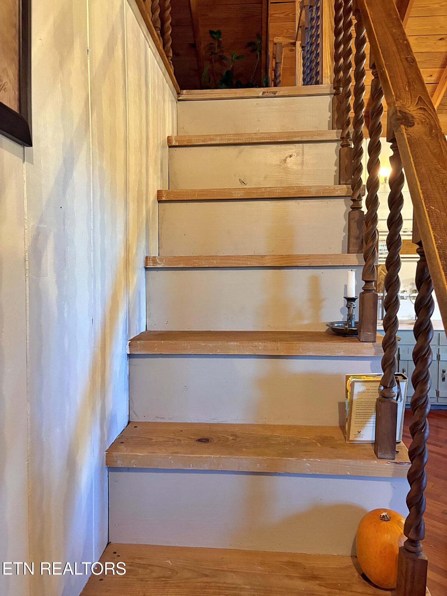 Mullet pictures 1 (1) - 726 Essary Rd, Tazewell, TN 37879