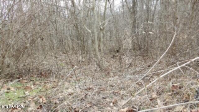 100_0008 - 5.51ac Beaver Lane, Gainesboro, TN 38562, Gainesboro