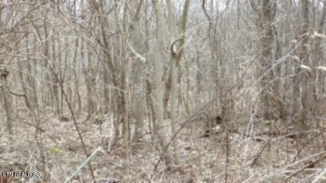 100_0009 - 5.51ac Beaver Lane, Gainesboro, TN 38562, Gainesboro