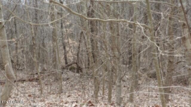 100_0011 - 5.51ac Beaver Lane, Gainesboro, TN 38562, Gainesboro