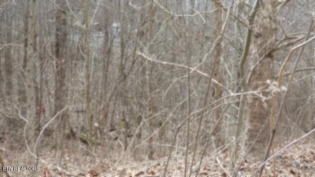 100_0012 - 5.51ac Beaver Lane, Gainesboro, TN 38562, Gainesboro