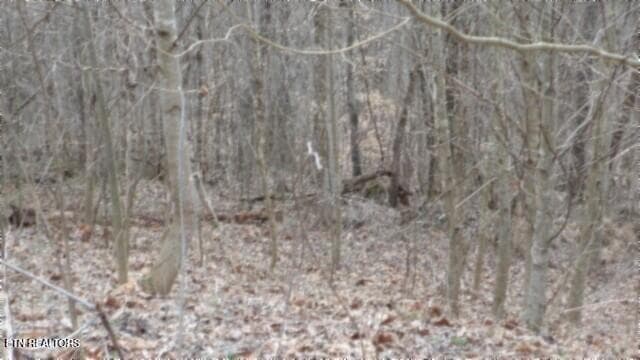 100_0013 - 5.51ac Beaver Lane, Gainesboro, TN 38562, Gainesboro
