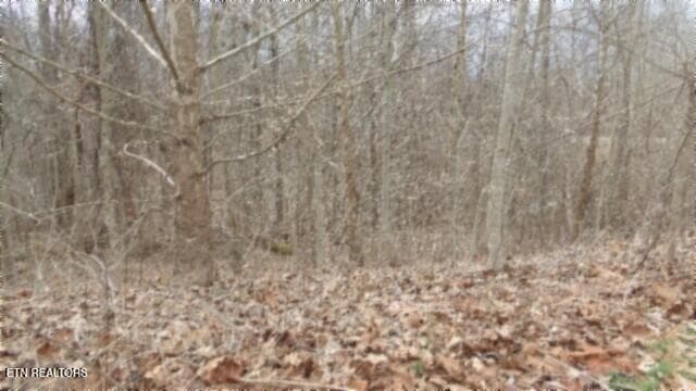 100_0015 - 5.51ac Beaver Lane, Gainesboro, TN 38562, Gainesboro