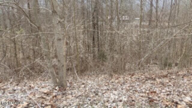 100_0016 - 5.51ac Beaver Lane, Gainesboro, TN 38562, Gainesboro