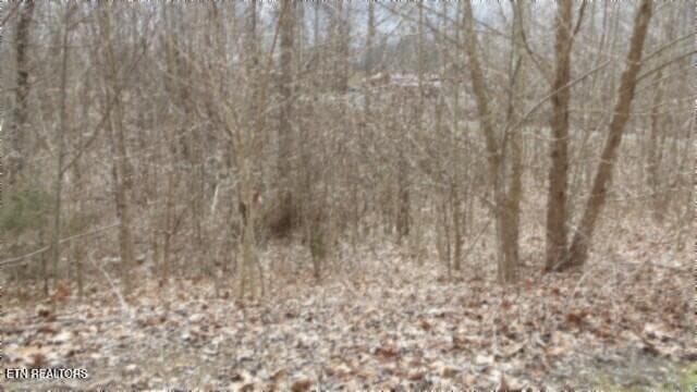 100_0017 - 5.51ac Beaver Lane, Gainesboro, TN 38562, Gainesboro