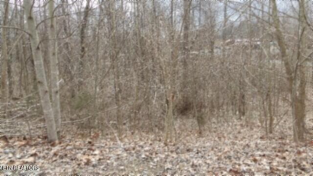 100_0018 - 5.51ac Beaver Lane, Gainesboro, TN 38562, Gainesboro