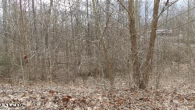 100_0019 - 5.51ac Beaver Lane, Gainesboro, TN 38562, Gainesboro