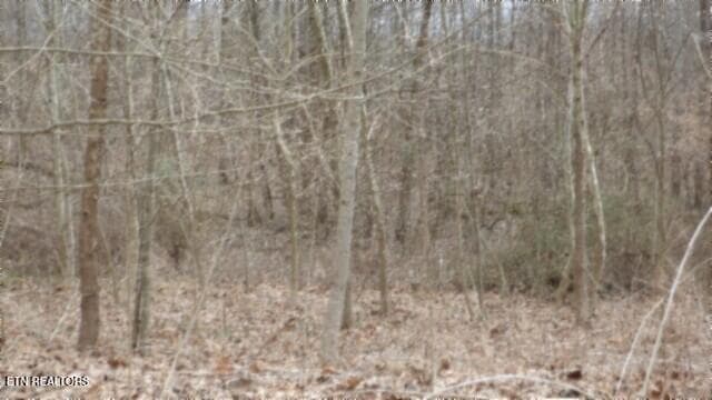 100_0020 - 5.51ac Beaver Lane, Gainesboro, TN 38562, Gainesboro