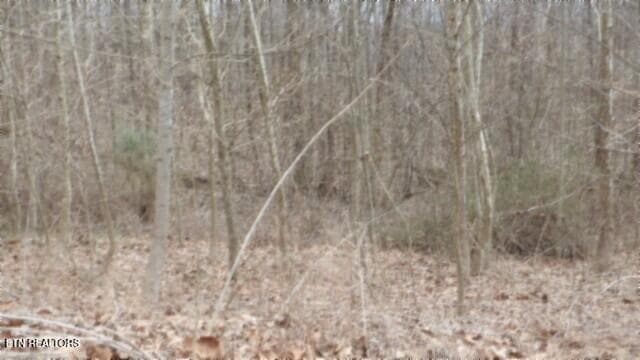 100_0021 - 5.51ac Beaver Lane, Gainesboro, TN 38562, Gainesboro