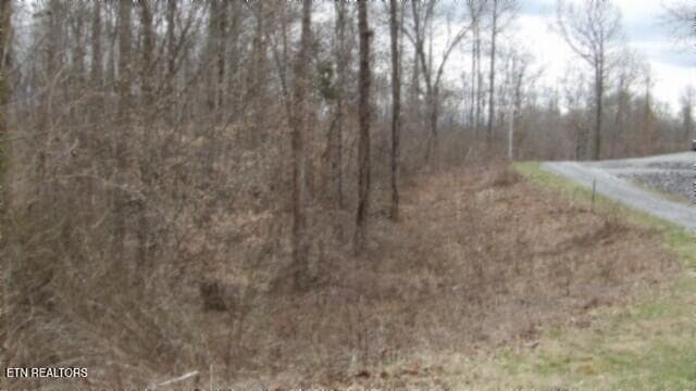100_0022 - 5.51ac Beaver Lane, Gainesboro, TN 38562, Gainesboro