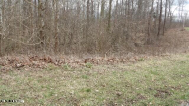 100_0023 - 5.51ac Beaver Lane, Gainesboro, TN 38562, Gainesboro