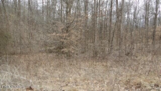 100_0024 - 5.51ac Beaver Lane, Gainesboro, TN 38562, Gainesboro