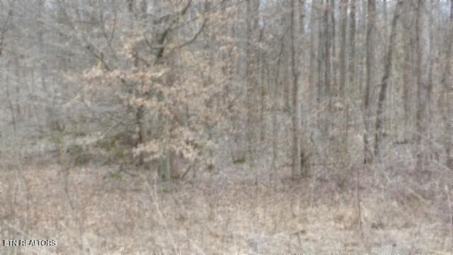 100_0025 - 5.51ac Beaver Lane, Gainesboro, TN 38562, Gainesboro