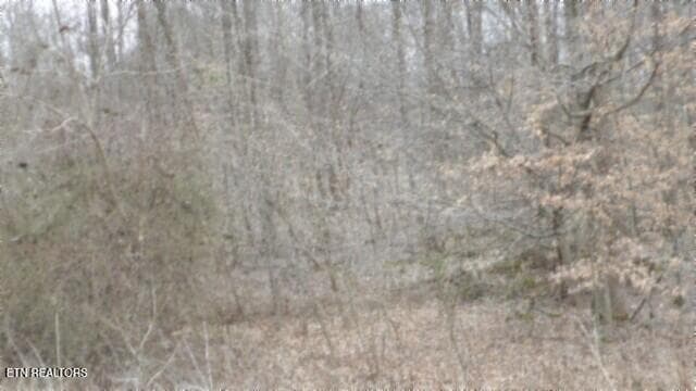 100_0026 - 5.51ac Beaver Lane, Gainesboro, TN 38562, Gainesboro