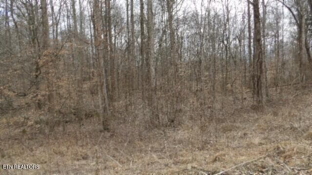 100_0027 - 5.51ac Beaver Lane, Gainesboro, TN 38562, Gainesboro