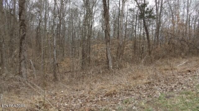 100_0028 - 5.51ac Beaver Lane, Gainesboro, TN 38562, Gainesboro