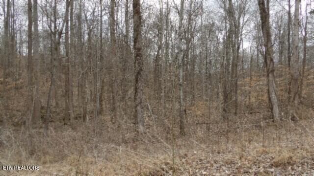100_0029 - 5.51ac Beaver Lane, Gainesboro, TN 38562, Gainesboro