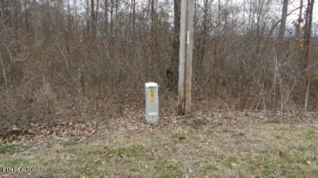 100_0030 - 5.51ac Beaver Lane, Gainesboro, TN 38562, Gainesboro