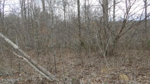 100_0034 - 5.51ac Beaver Lane, Gainesboro, TN 38562, Gainesboro