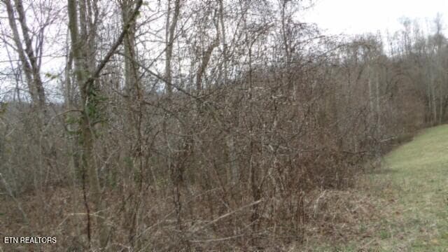 100_0035 - 5.51ac Beaver Lane, Gainesboro, TN 38562, Gainesboro