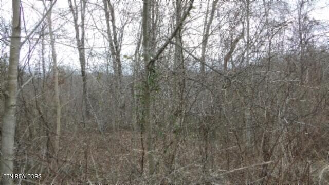 100_0036 - 5.51ac Beaver Lane, Gainesboro, TN 38562, Gainesboro