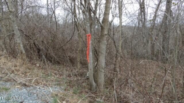 100_0038 - 5.51ac Beaver Lane, Gainesboro, TN 38562, Gainesboro