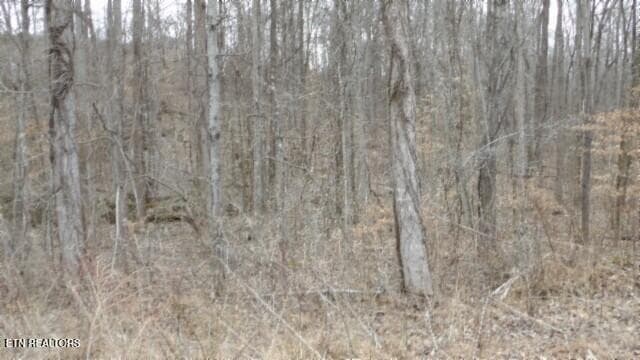100_0039 - 5.51ac Beaver Lane, Gainesboro, TN 38562, Gainesboro