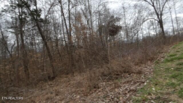 100_0041 - 5.51ac Beaver Lane, Gainesboro, TN 38562, Gainesboro