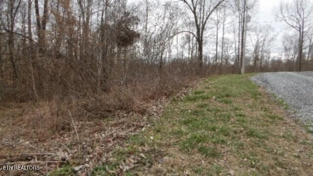 100_0042 - 5.51ac Beaver Lane, Gainesboro, TN 38562, Gainesboro