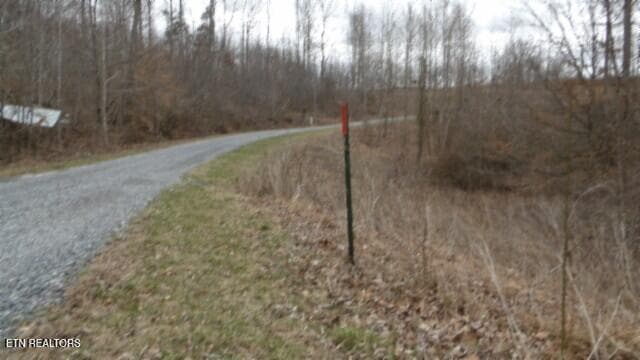 100_0043 - 5.51ac Beaver Lane, Gainesboro, TN 38562, Gainesboro