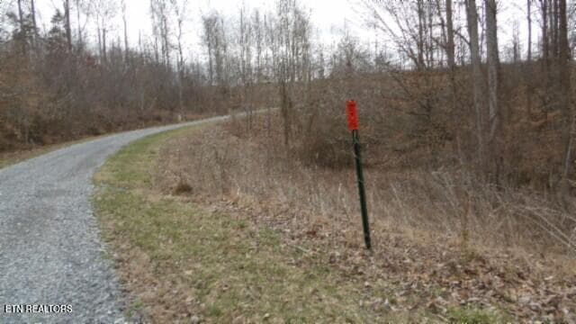 100_0044 - 5.51ac Beaver Lane, Gainesboro, TN 38562, Gainesboro