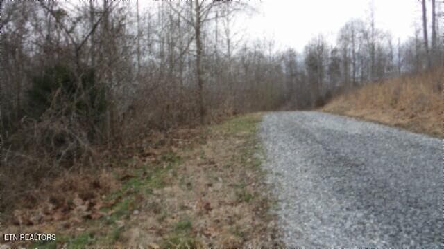 100_0001 - 5.51ac Beaver Lane, Gainesboro, TN 38562, Gainesboro