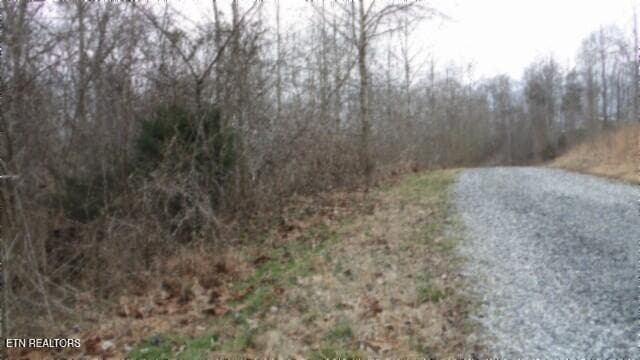 100_0002 - 5.51ac Beaver Lane, Gainesboro, TN 38562, Gainesboro