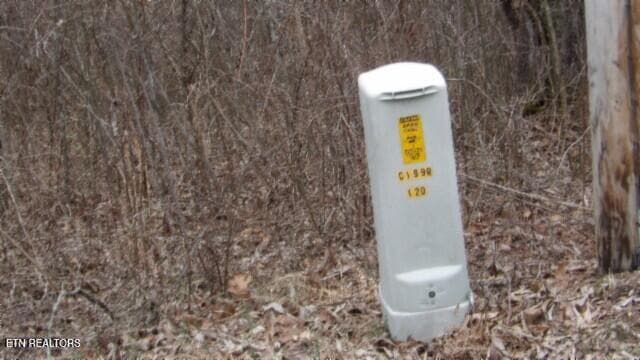 100_0031 - 5.51ac Beaver Lane, Gainesboro, TN 38562, Gainesboro