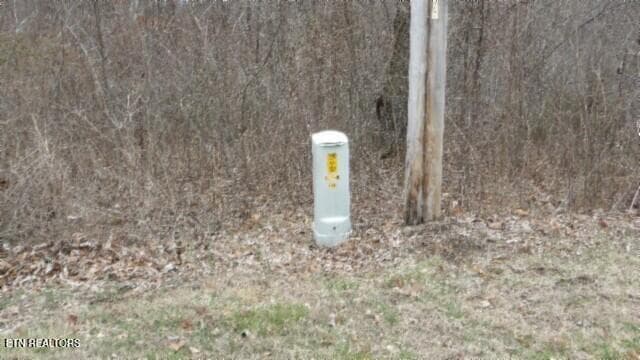 100_0032 - 5.51ac Beaver Lane, Gainesboro, TN 38562, Gainesboro