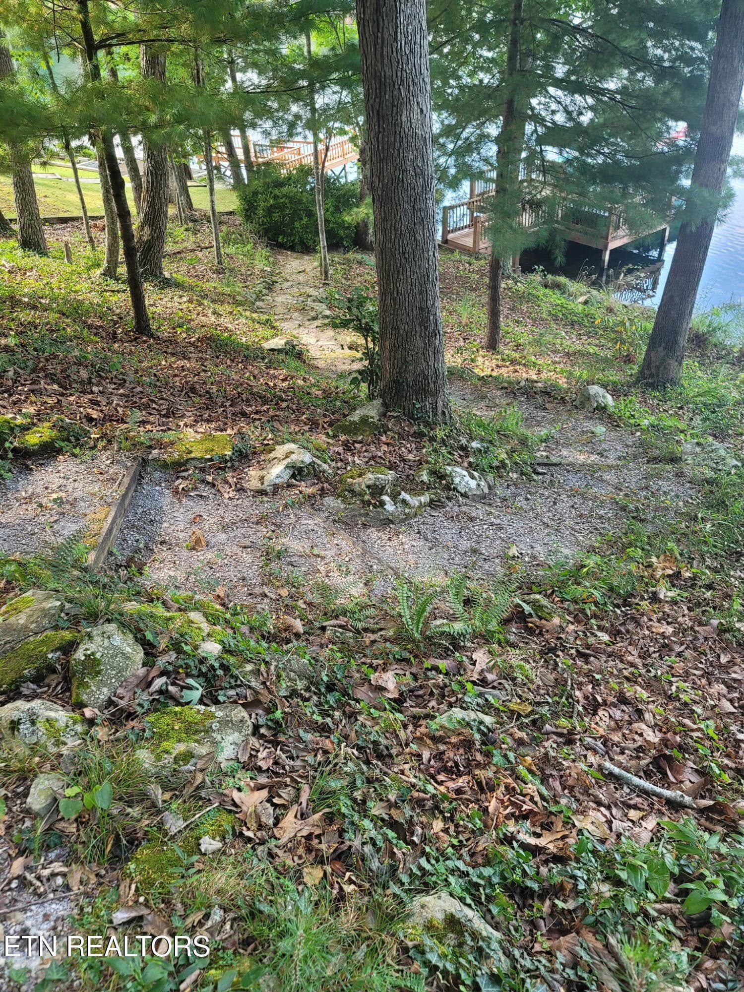 20260904_155918 - 45 Markham Terrace, Crossville, TN 38558