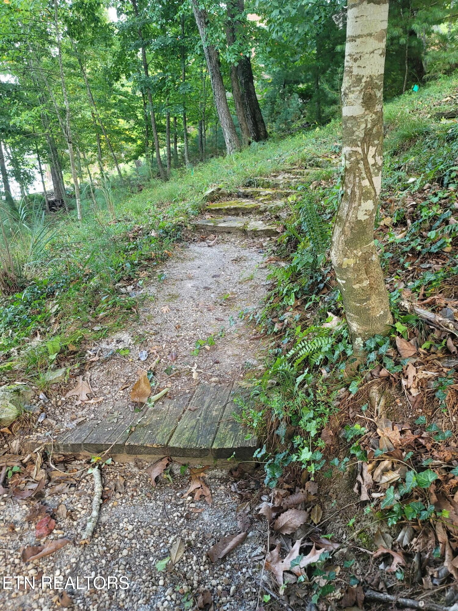 20260904_160101 - 45 Markham Terrace, Crossville, TN 38558