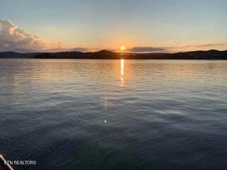 Watts Bar Small - 800 N Kingston Ave, Rockwood, TN 37854