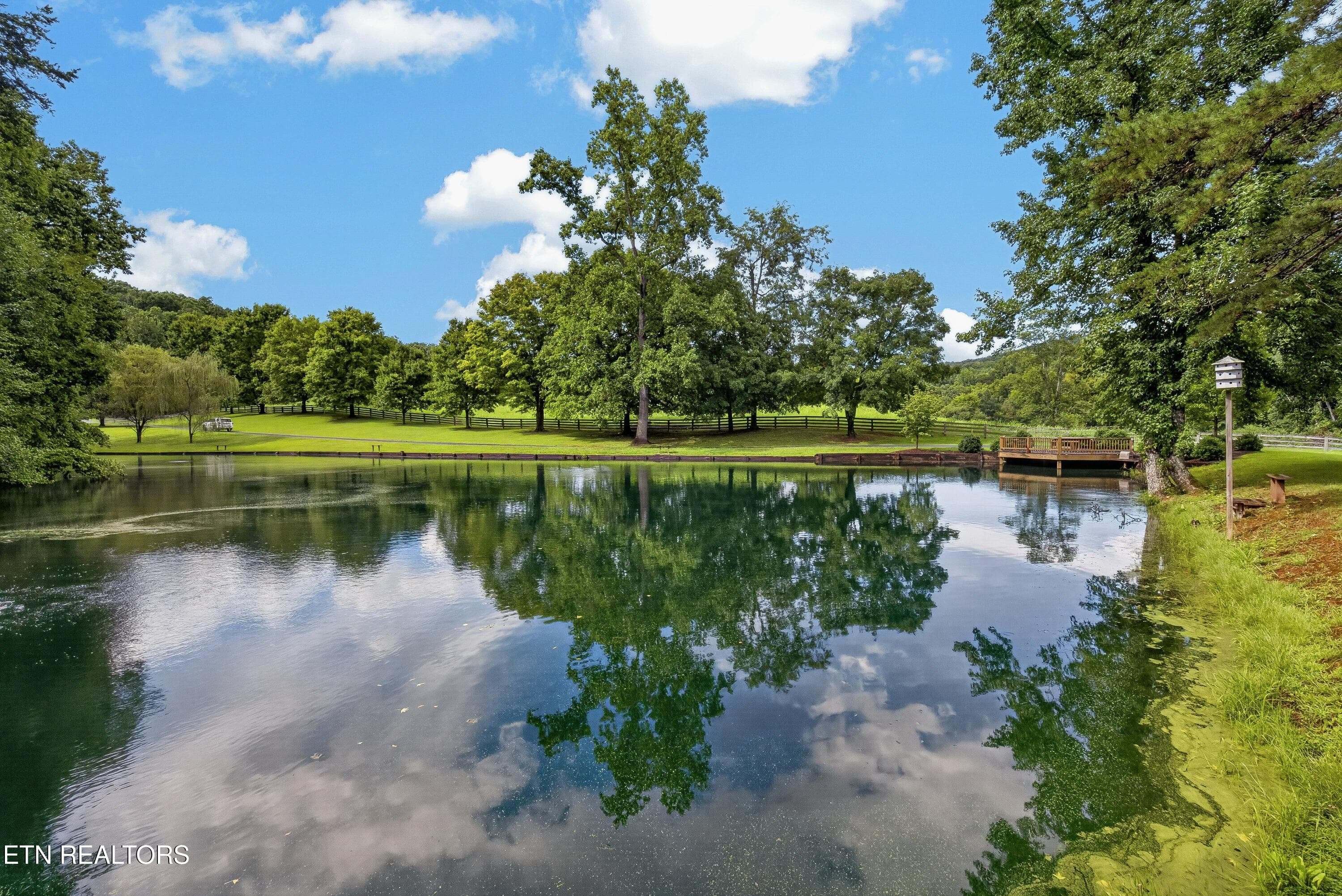 Your Own Stocked Fishing Hole - 3790 Hollybrook Rd, Rockford, TN 37853