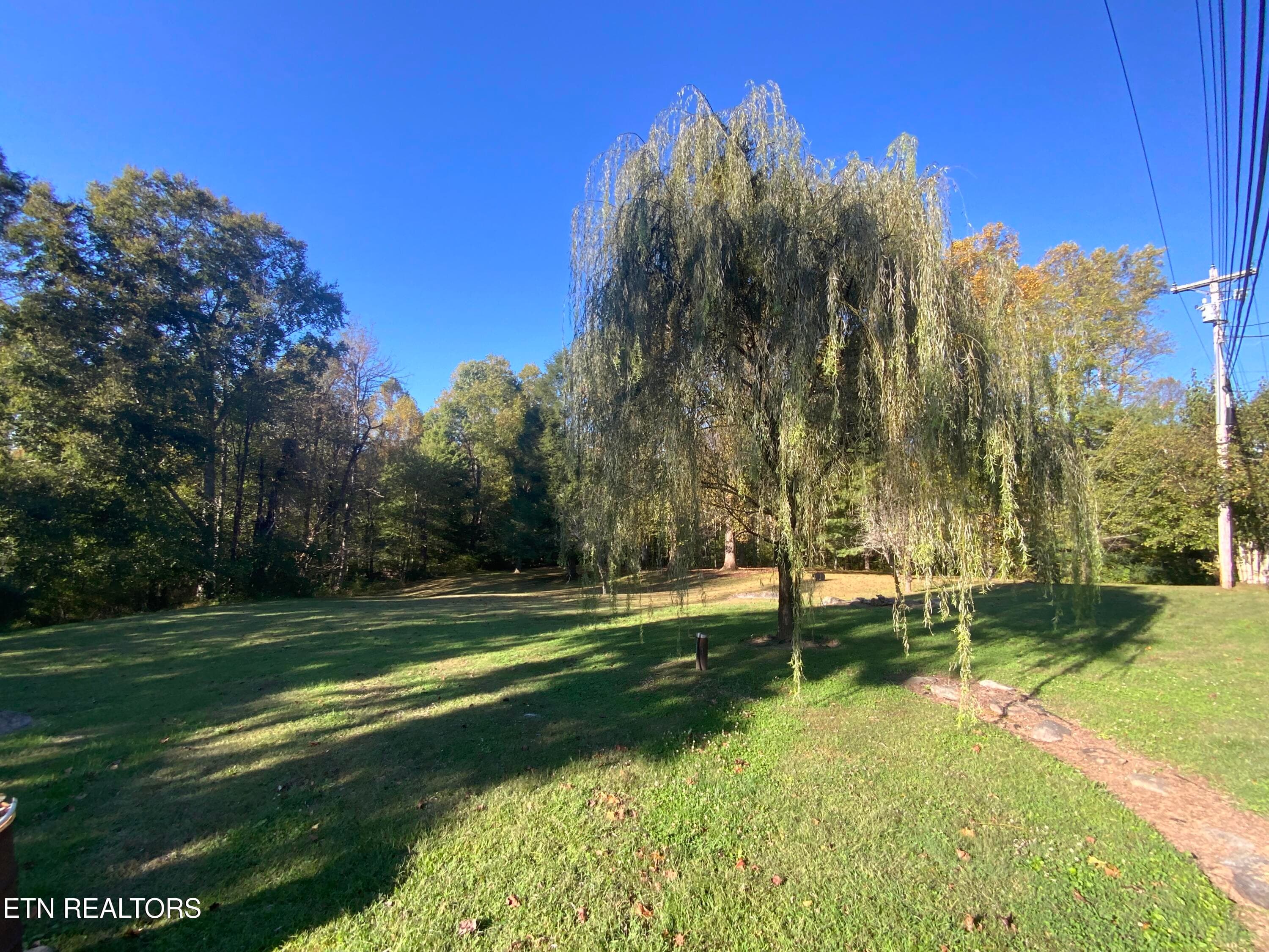 IMG_3607 - 4455 Trail Hollow Rd, Cosby, TN 37722